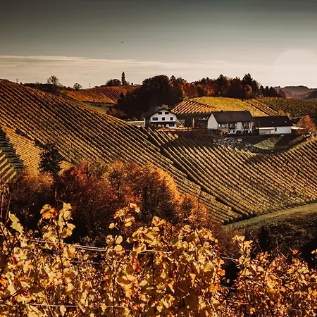 Weingut Brenner Am Rossberg *