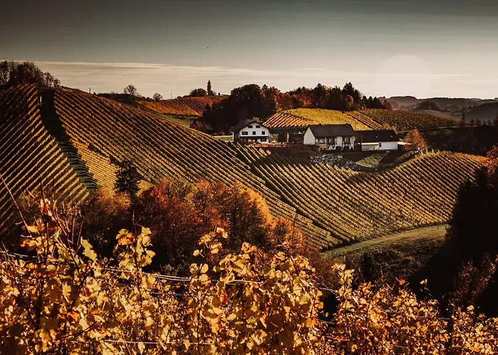 Weingut Brenner Am Rossberg *