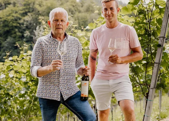 Weingut Brenner Am Rossberg 民宿 *